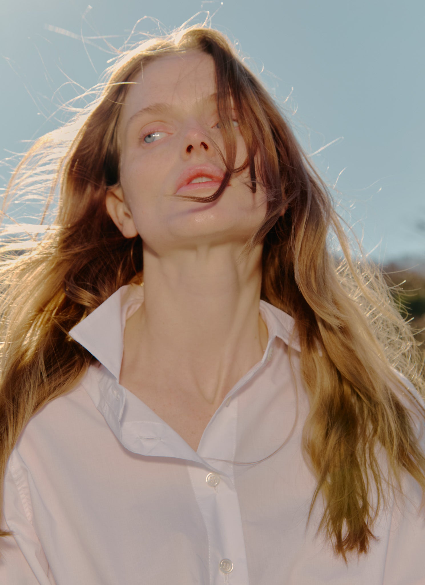 Lumi Lace Cropped Shirt