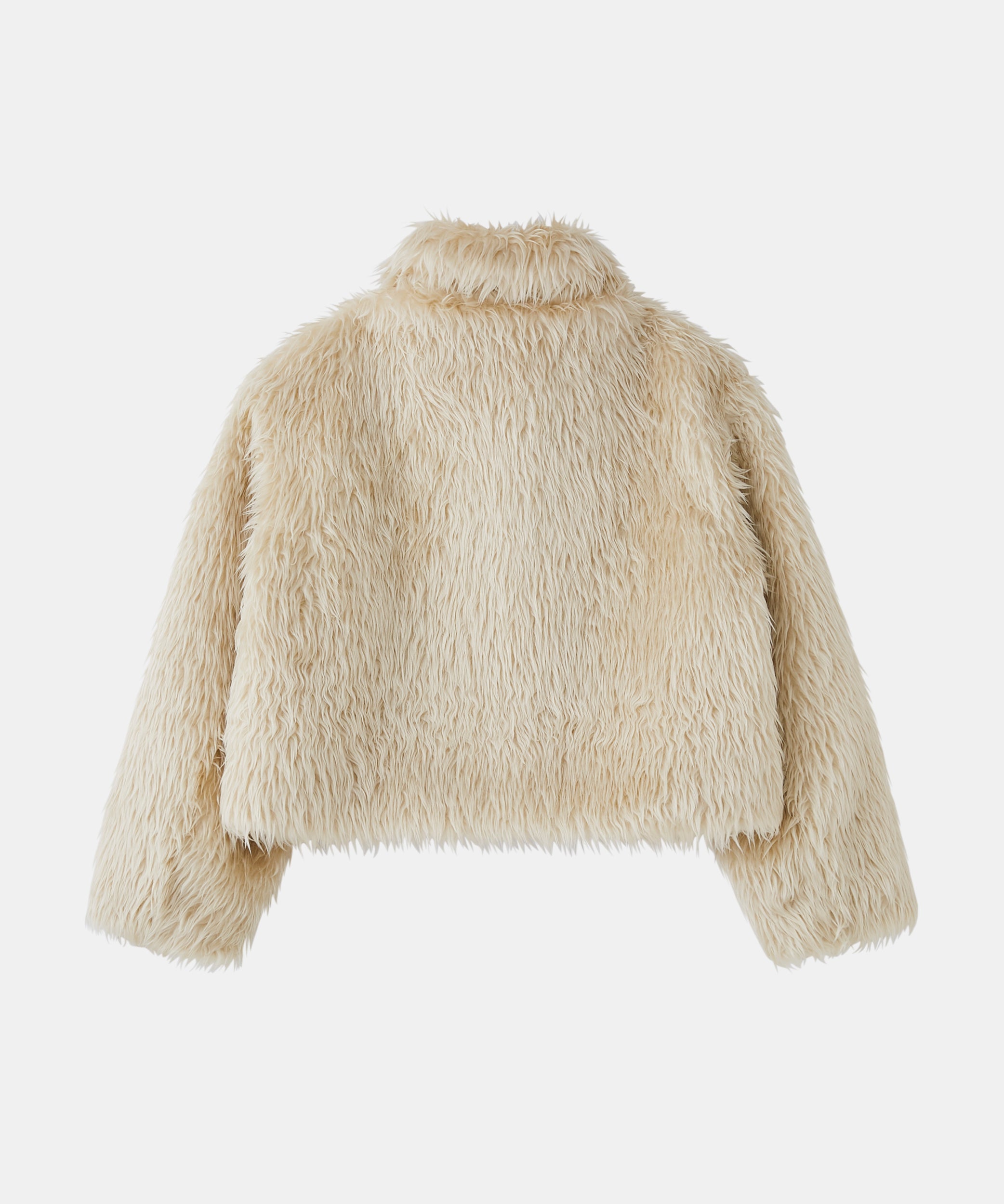 Short Fur Coat
